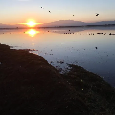 Vendégház D'hotes Chevrefeuille Molitg les Bains