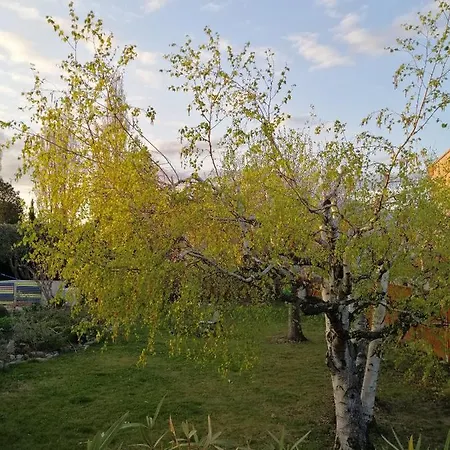 Vendégház D'hotes Chevrefeuille Molitg les Bains
