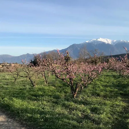 D'hotes Chevrefeuille Molitg les Bains