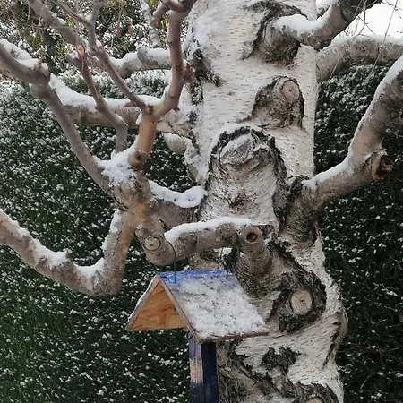 Vendégház D'hotes Chevrefeuille 4*