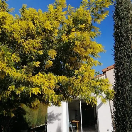 D'hotes Chevrefeuille 4*