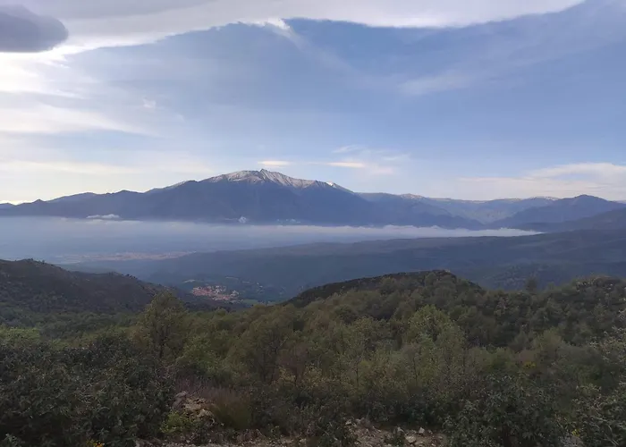 D'hotes Chevrefeuille Moltig les Bains